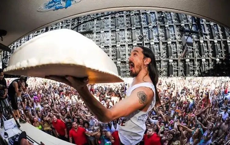 steve aoki dj cultural 