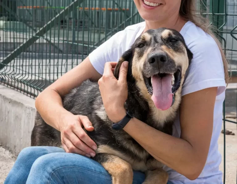 beneficios-adoptar-un-perro