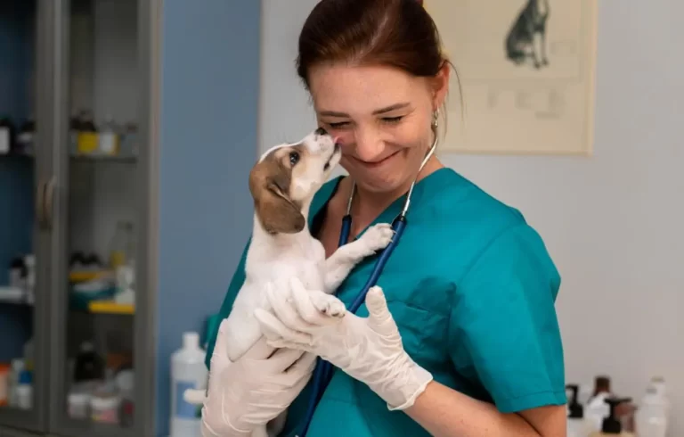 enfermedades-pueden-transmitir-mascotas